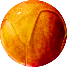 Peach Persimmon
